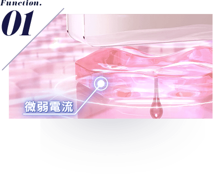 function.01